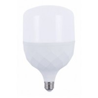 Лампа LED високопотужн. E27,30Вт, 6500К  Biom HP-30-6 T100